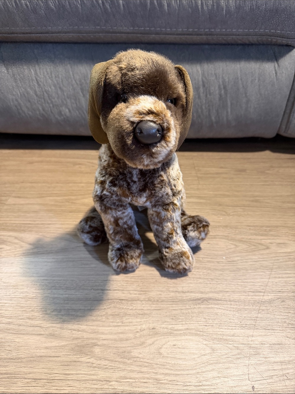 Wolfgang Pointer Douglas Toy